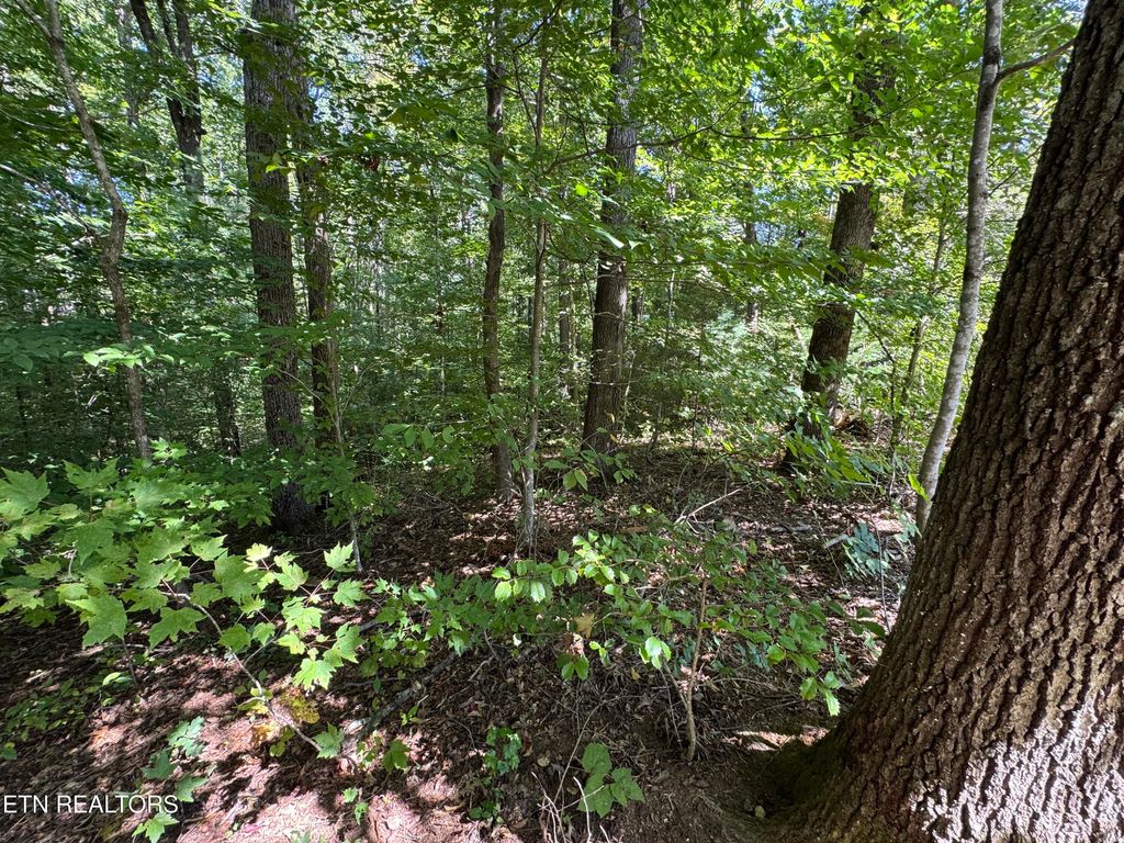 Photo of 6 Saddle Brook Way, Sevierville, TN 37862 (MLS # 1315270)