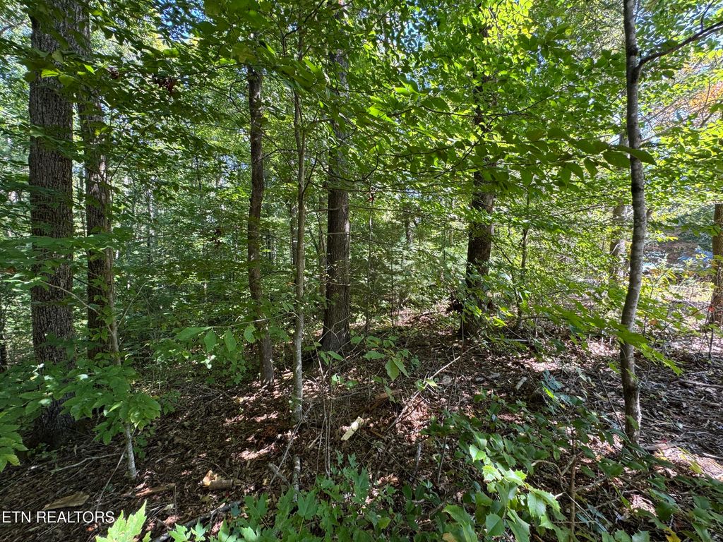 Photo of 6 Saddle Brook Way, Sevierville, TN 37862 (MLS # 1315270)
