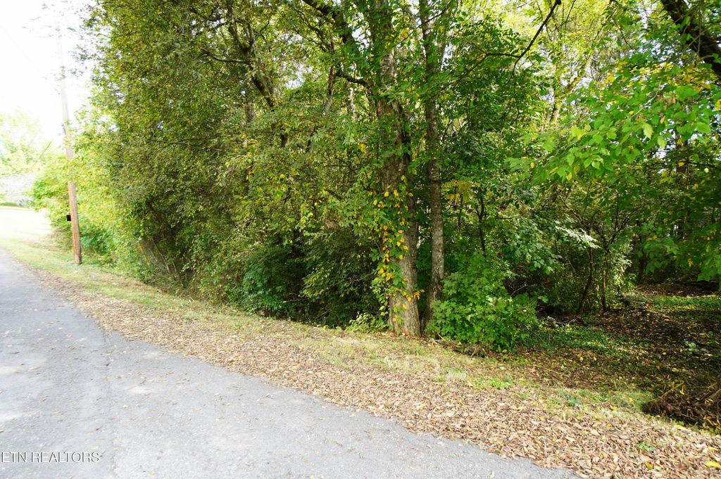 Photo of 14 West View Drive, Strawberry Plains, TN 37871 (MLS # 1329116)