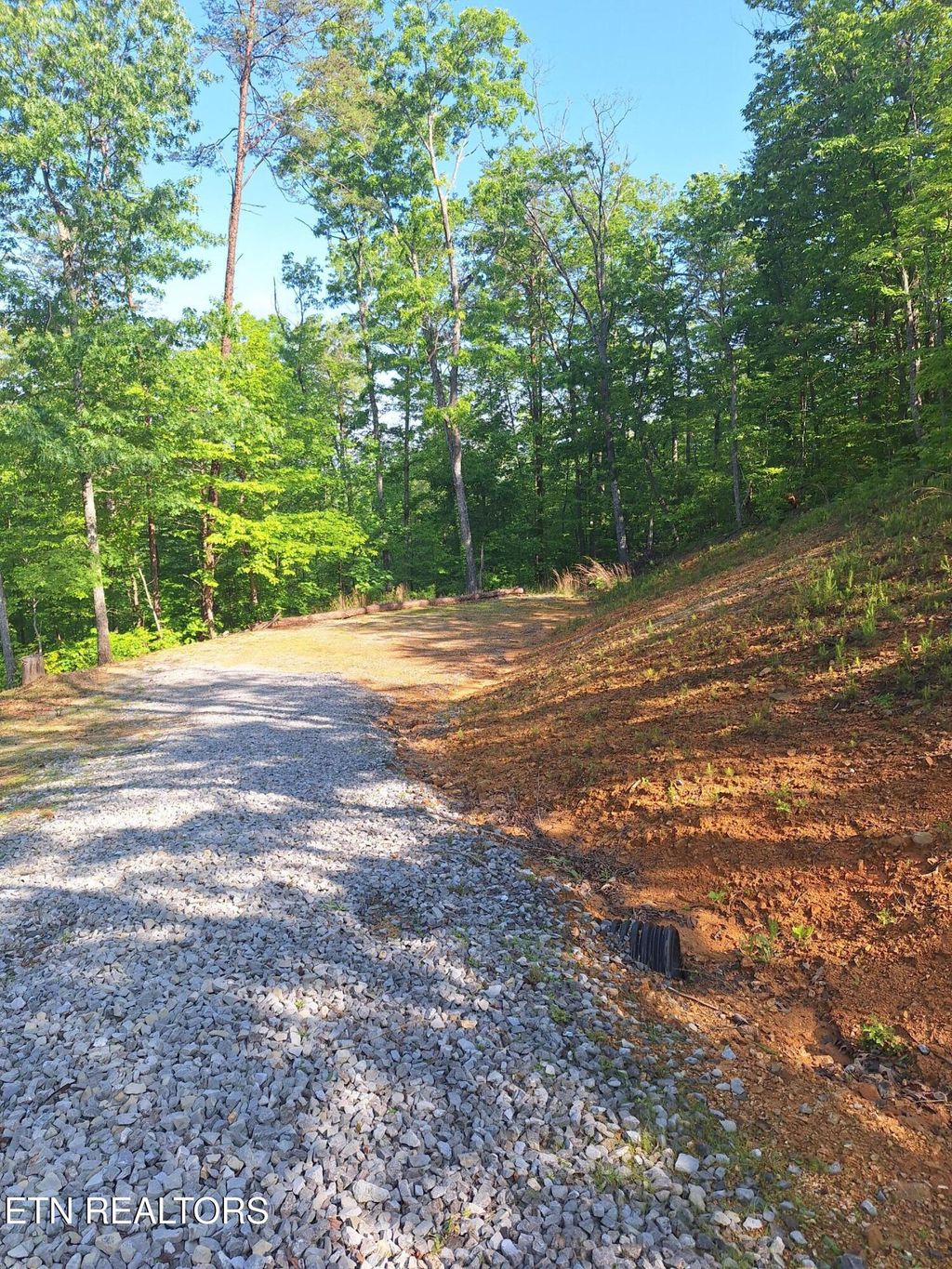 Photo of Indian Ridge Drive, Tellico Plains, TN 37385 (MLS # 1300437)
