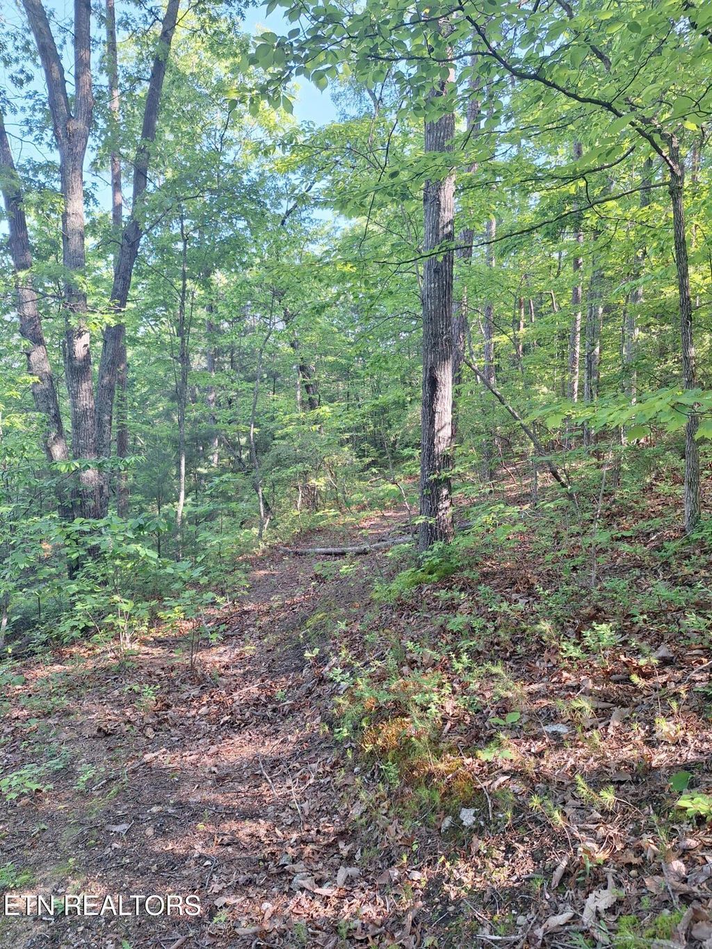 Photo of Indian Ridge Drive, Tellico Plains, TN 37385 (MLS # 1300437)