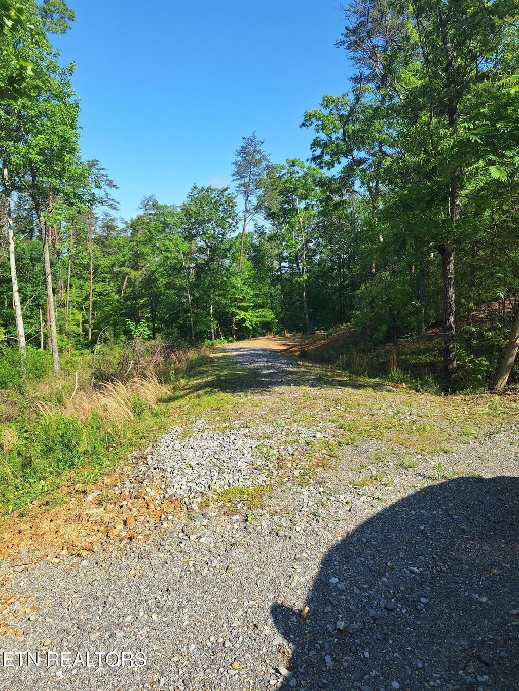 Photo of Indian Ridge Drive, Tellico Plains, TN 37385 (MLS # 1300437)