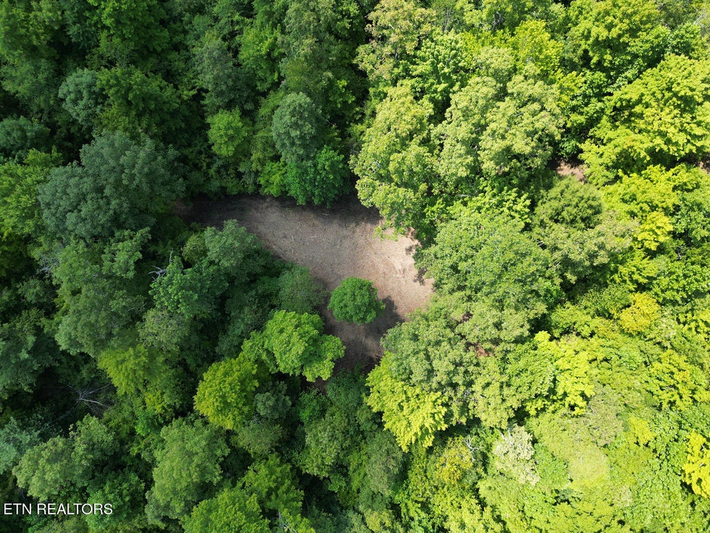 Photo of Sheep Ranch Rd, Robbins, TN 37852 (MLS # 1313251)