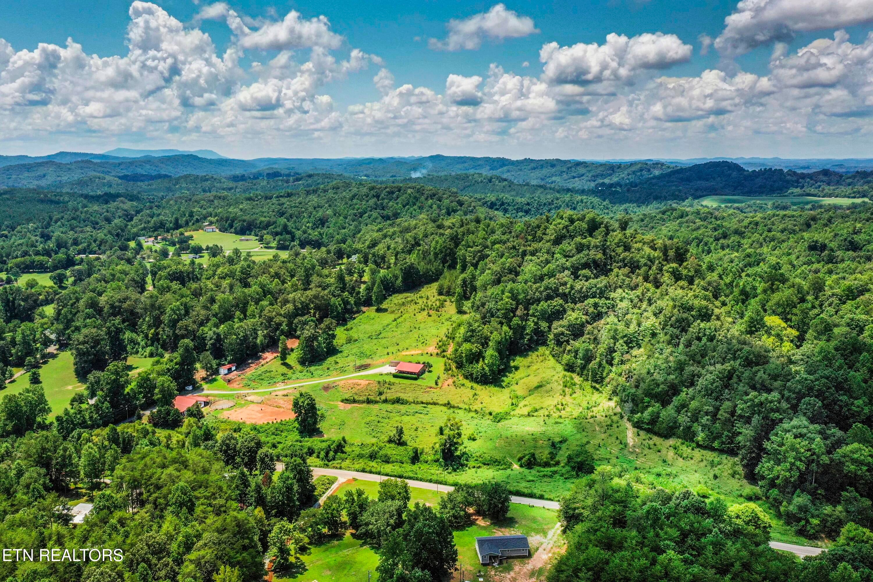 598 Griffith Branch Rd