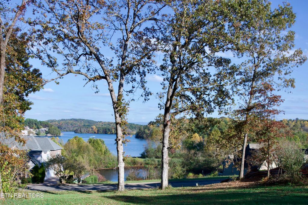 Photo of 141 Song Sparrow Drive, Vonore, TN 37885 (MLS # 1280992)