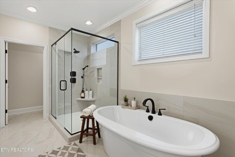 Tiny photo for 11717 Boston Ivy (Lot 69) Lane, Knoxville, TN 37932 (MLS # 1331812)