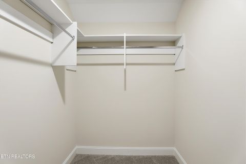 Tiny photo for 11717 Boston Ivy (Lot 69) Lane, Knoxville, TN 37932 (MLS # 1331812)