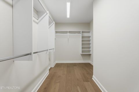 Tiny photo for 11717 Boston Ivy (Lot 69) Lane, Knoxville, TN 37932 (MLS # 1331812)