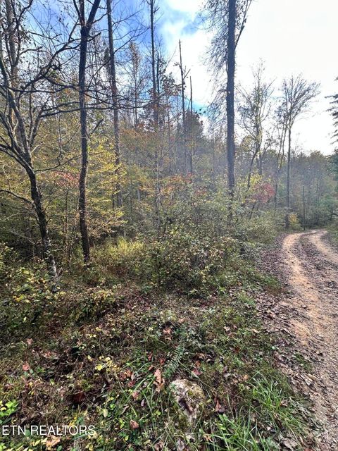 Photo of Peaceful Way, Sevierville, TN 37876 (MLS # 1319194)