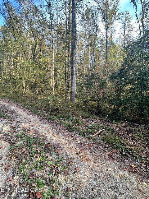 Tiny photo for Peaceful Way, Sevierville, TN 37876 (MLS # 1319194)