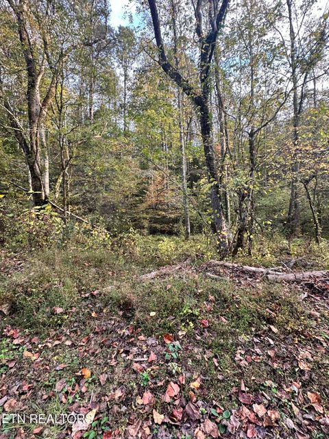 Tiny photo for Peaceful Way, Sevierville, TN 37876 (MLS # 1319194)