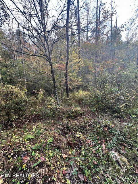 Tiny photo for Peaceful Way, Sevierville, TN 37876 (MLS # 1319194)