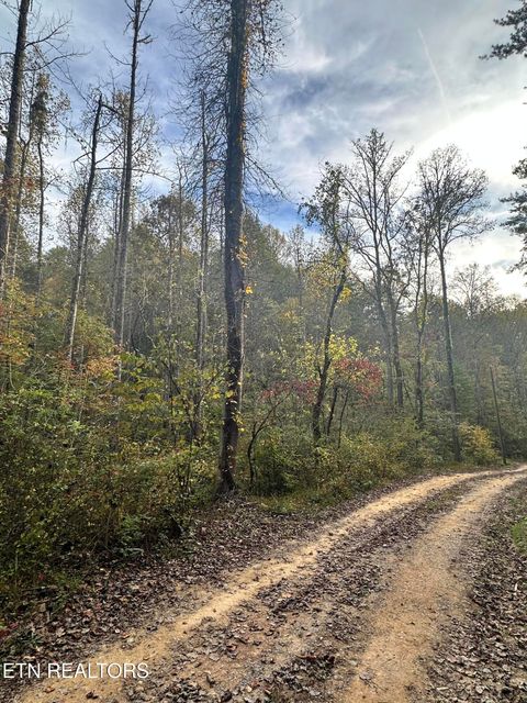 Tiny photo for Peaceful Way, Sevierville, TN 37876 (MLS # 1319194)