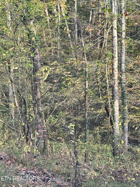Tiny photo for Peaceful Way, Sevierville, TN 37876 (MLS # 1319194)