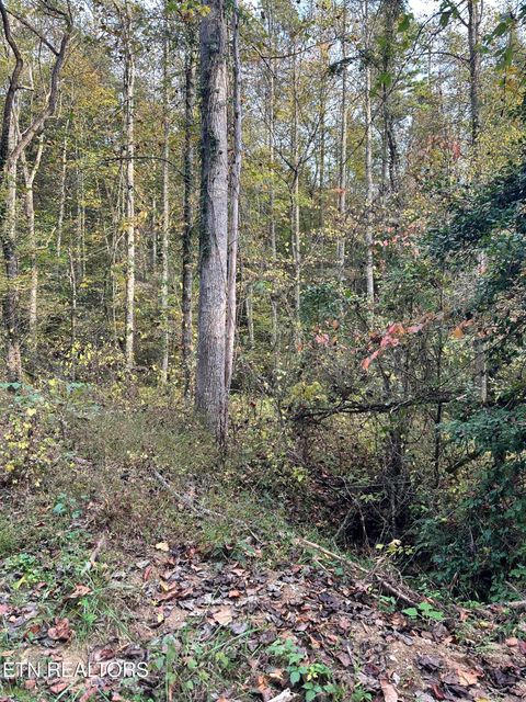 Tiny photo for Peaceful Way, Sevierville, TN 37876 (MLS # 1319194)