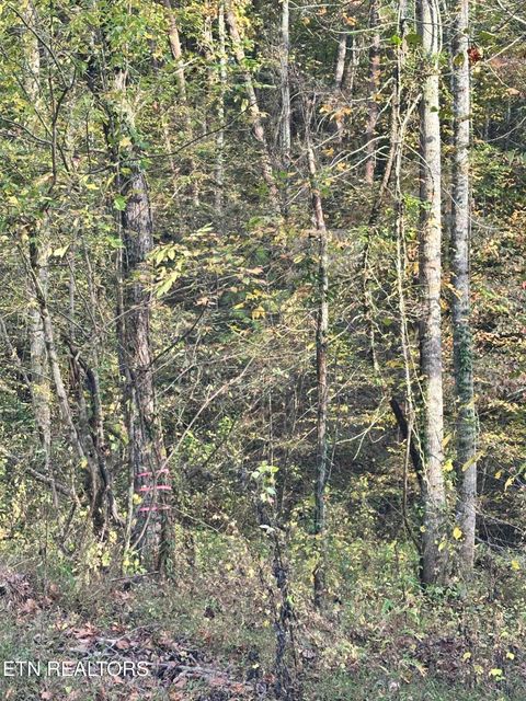 Tiny photo for Peaceful Way, Sevierville, TN 37876 (MLS # 1319194)