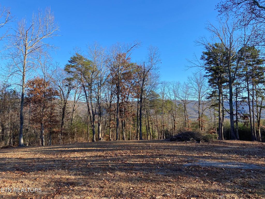 Photo of 978 Press Pickett Rd, Whitwell, TN 37397 (MLS # 1340072)
