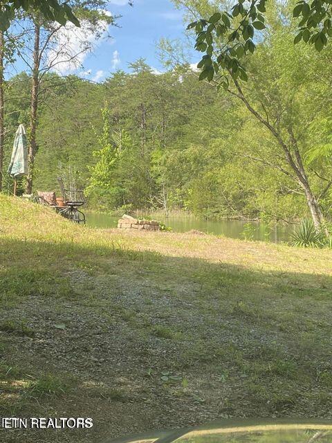 936 Pleasure Rd
