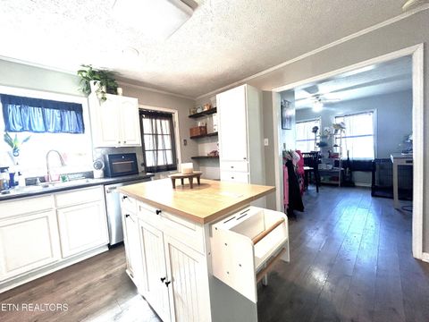 Tiny photo for 209 Woodlawn Drive, Kingston, TN 37763 (MLS # 1333445)