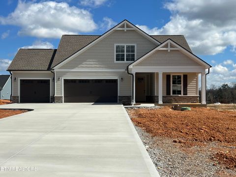 Photo of 216 River Birch Drive, Lenoir City, TN 37771 (MLS # 1332128)