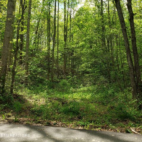 King Rd Gatlinburg TN 37738