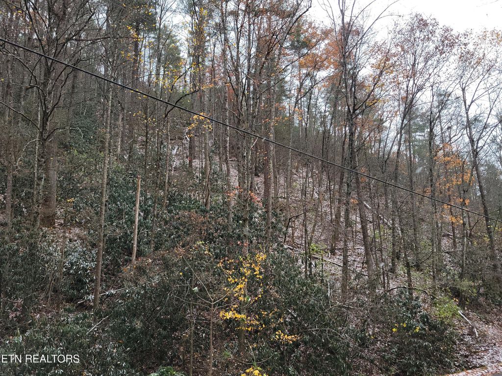 Photo of 3738 Alpine Drive, Sevierville, TN 37876 (MLS # 1323142)