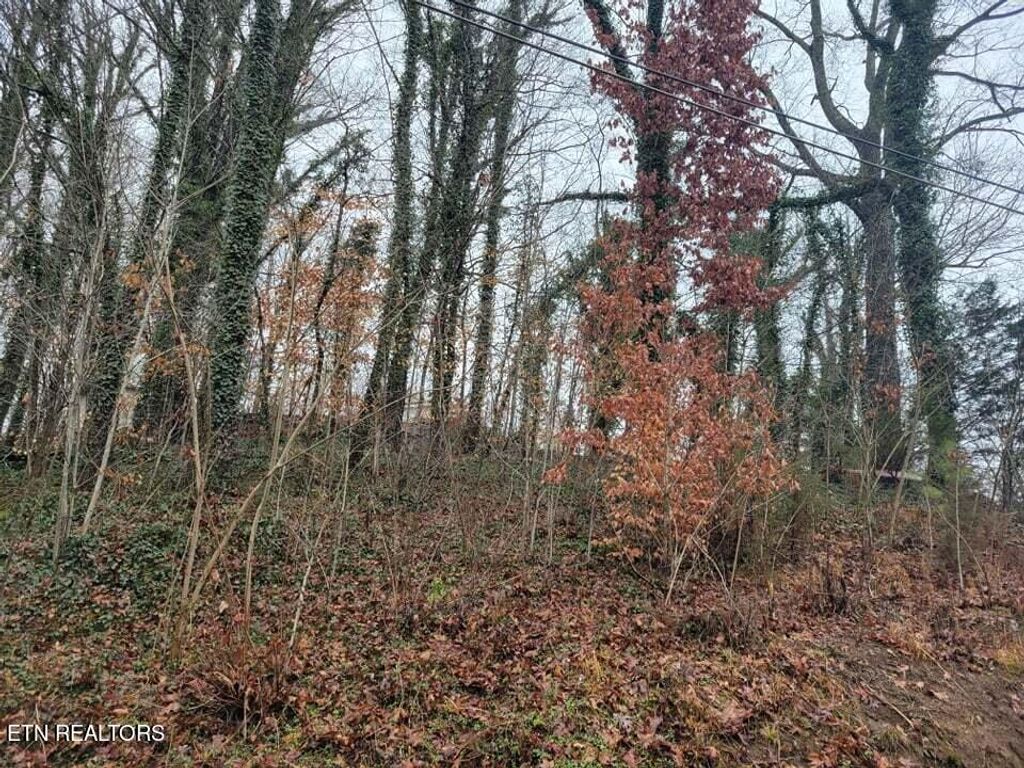 Photo of Garden Ave, Oliver Springs, TN 37840 (MLS # 1243260)