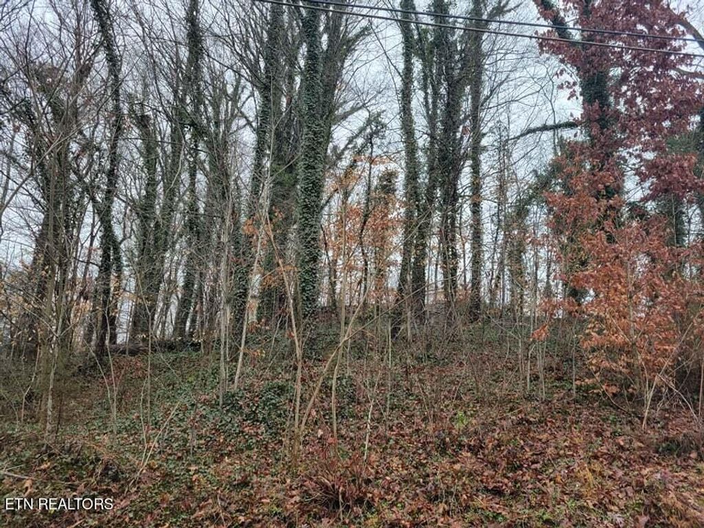 Photo of Garden Ave, Oliver Springs, TN 37840 (MLS # 1243260)