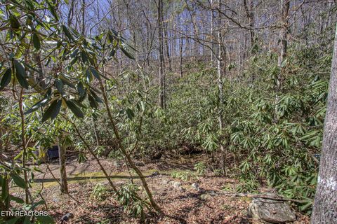 Tiny photo for 1324 Huskey Branch Rd, Walland, TN 37886 (MLS # 1332414)