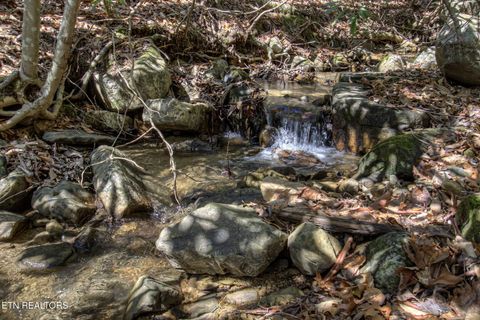 Tiny photo for 1324 Huskey Branch Rd, Walland, TN 37886 (MLS # 1332414)