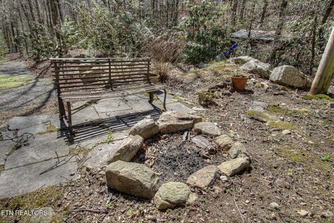 Tiny photo for 1324 Huskey Branch Rd, Walland, TN 37886 (MLS # 1332414)