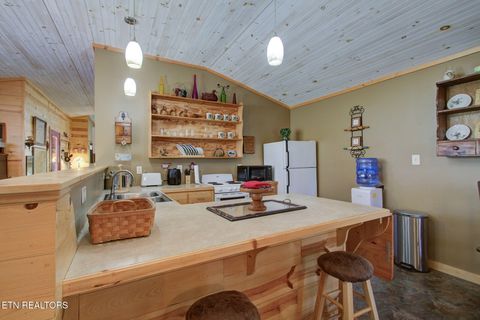 Tiny photo for 1324 Huskey Branch Rd, Walland, TN 37886 (MLS # 1332414)