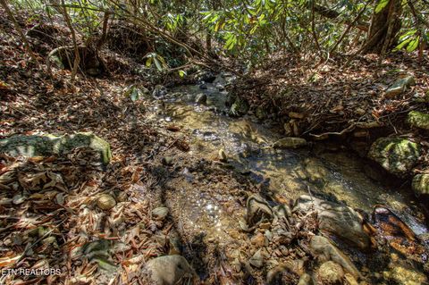 Tiny photo for 1324 Huskey Branch Rd, Walland, TN 37886 (MLS # 1332414)