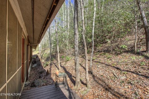 Tiny photo for 1324 Huskey Branch Rd, Walland, TN 37886 (MLS # 1332414)