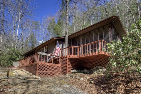 Photo of 1324 Huskey Branch Rd, Walland, TN 37886 (MLS # 1332414)