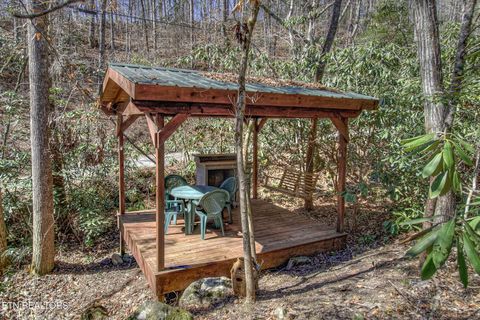 Tiny photo for 1324 Huskey Branch Rd, Walland, TN 37886 (MLS # 1332414)
