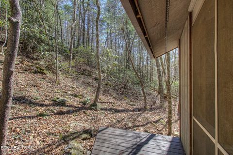 Tiny photo for 1324 Huskey Branch Rd, Walland, TN 37886 (MLS # 1332414)