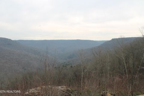 Photo of E Bobcat Lane, Jamestown, TN 38556 (MLS # 1330536)