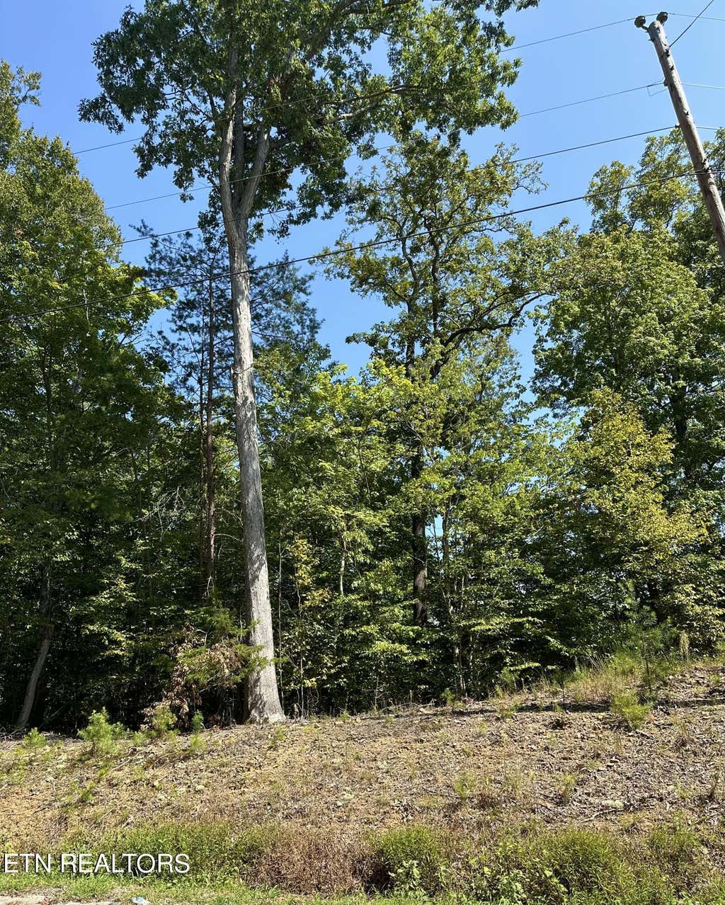 Photo of Lots 65 & 66 Grandpa's Ridge, Sharps Chapel, TN 37866 (MLS # 1275106)