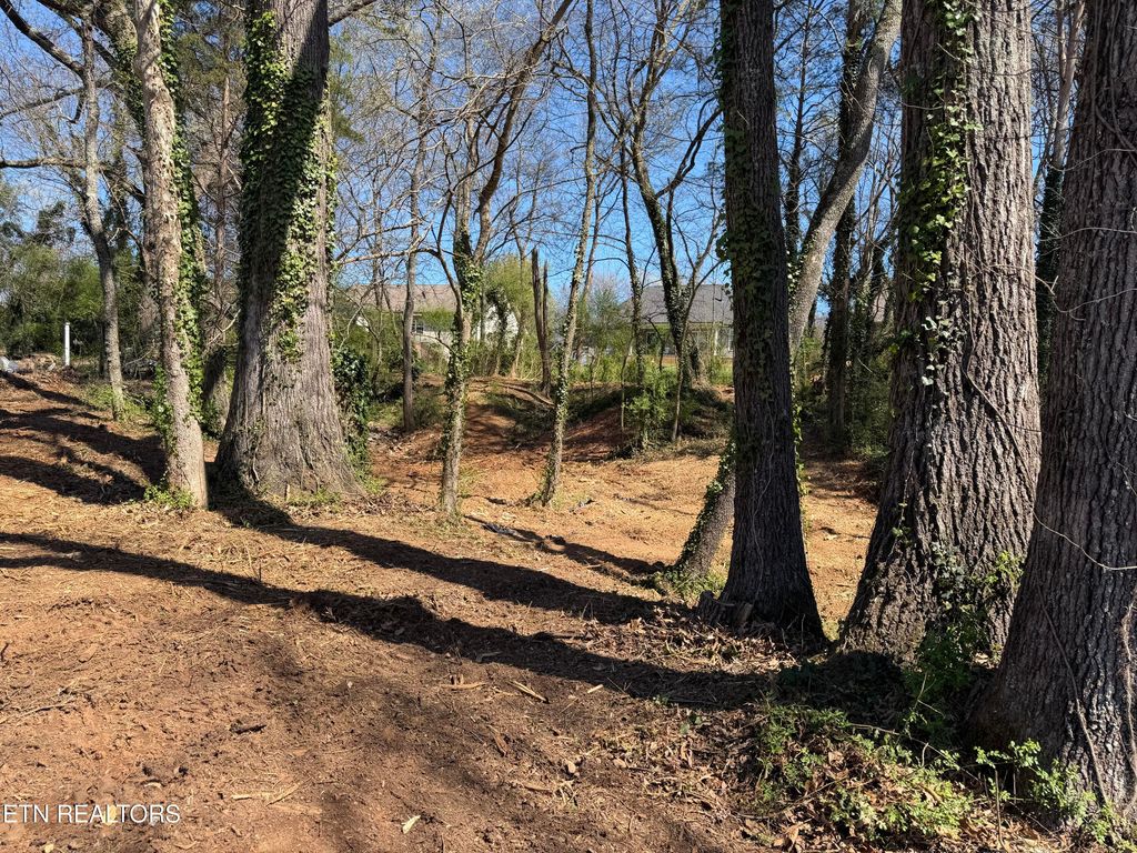 Photo of 210 Chatuga Way, Loudon, TN 37774 (MLS # 1334216)