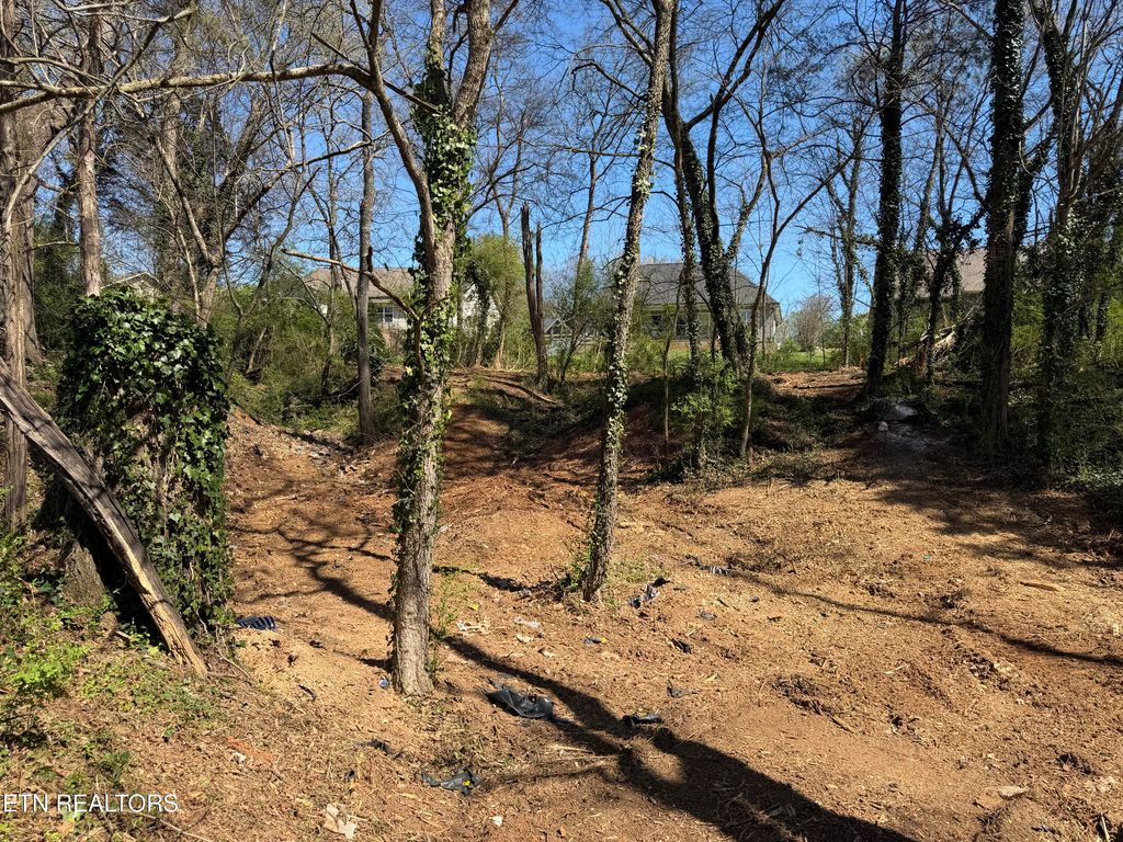 Photo of 210 Chatuga Way, Loudon, TN 37774 (MLS # 1334216)