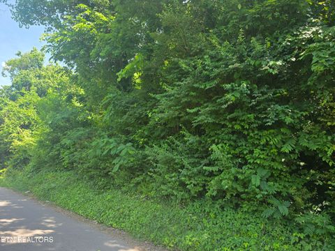 Photo of 4020 Lilac Ave, Knoxville, TN 37914 (MLS # 1341113)