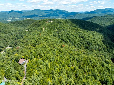 Tiny photo for 864 Stonegate Way, Townsend, TN 37882 (MLS # 1311177)