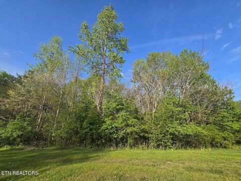 Tiny photo for 30 Indigo Bunting Drive, Harriman, TN 37748 (MLS # 1320676)