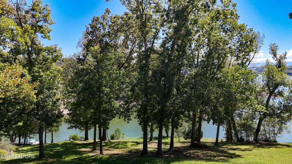 Photo of 16 Alamo Trl, Dandridge, TN 37725 (MLS # 1357245)