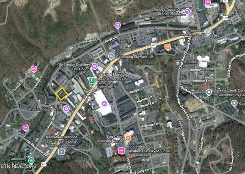 Tiny photo for 685 River Rd #306, Gatlinburg, TN 37738 (MLS # 1332036)