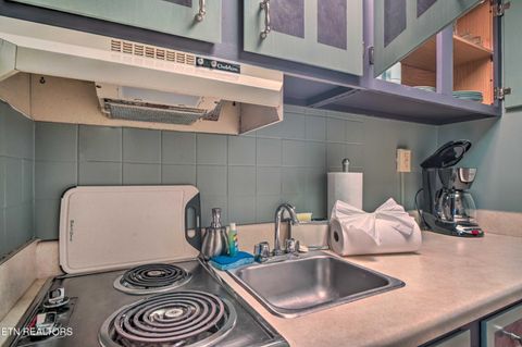 Tiny photo for 685 River Rd #306, Gatlinburg, TN 37738 (MLS # 1332036)