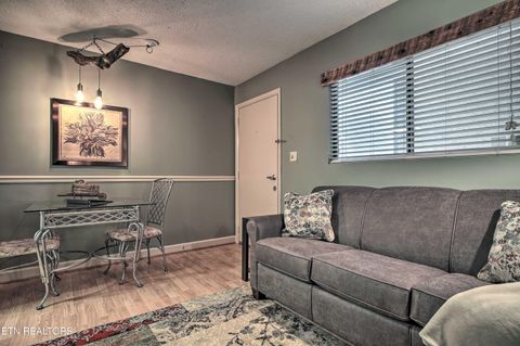 Tiny photo for 685 River Rd #306, Gatlinburg, TN 37738 (MLS # 1332036)