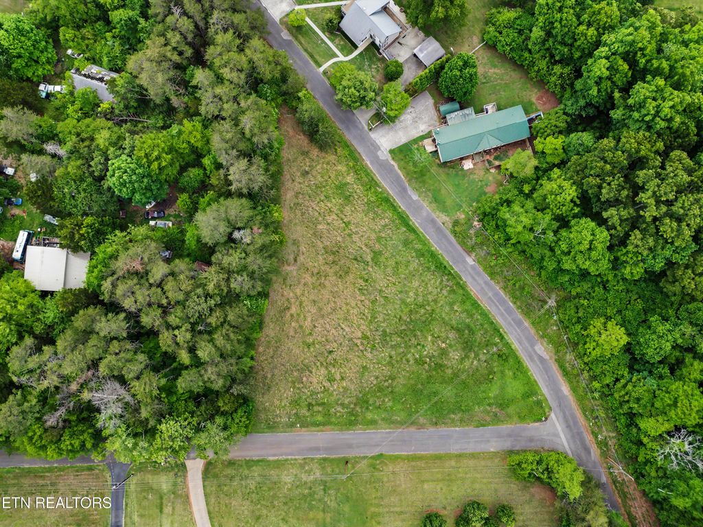 Photo of 1107 Evergreen Tr, Dandridge, TN 37725 (MLS # 1338902)