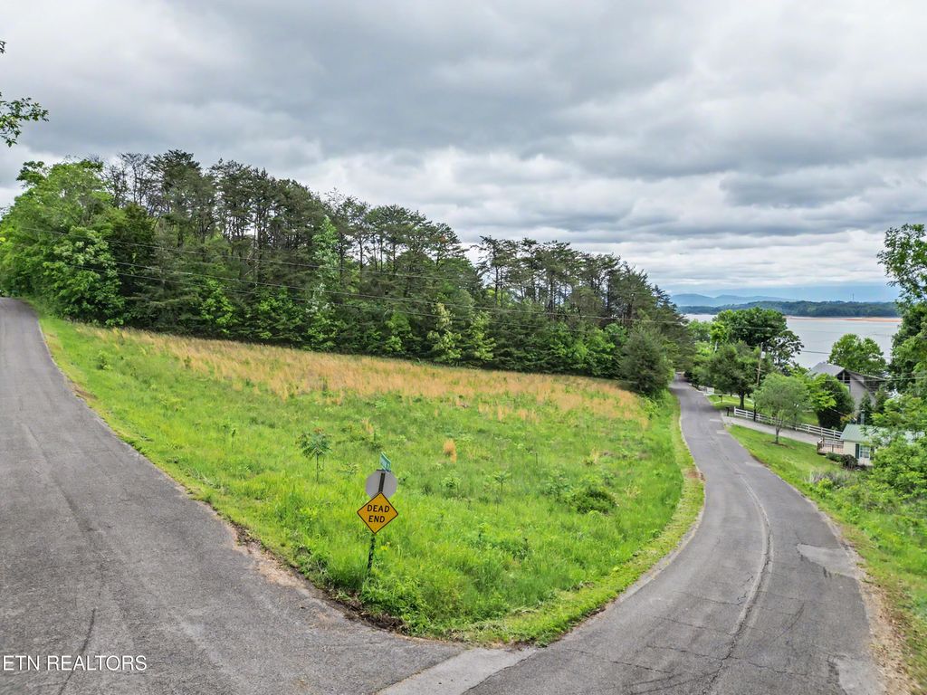 Photo of 1107 Evergreen Tr, Dandridge, TN 37725 (MLS # 1338902)